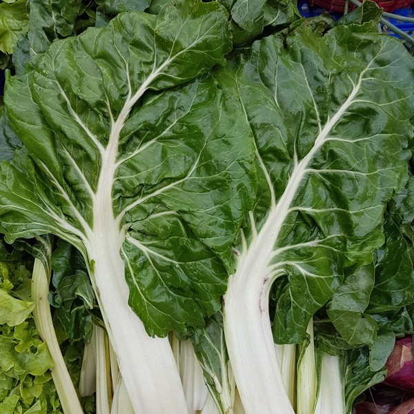 Blette bio - 1 kg