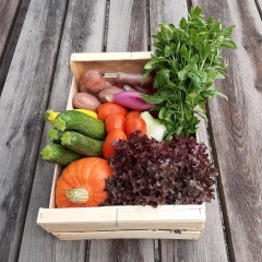 Grand panier bio