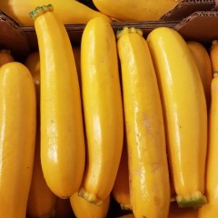 Courgette jaune bio - 1 kg
