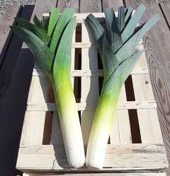 Poireau bio - 500 g